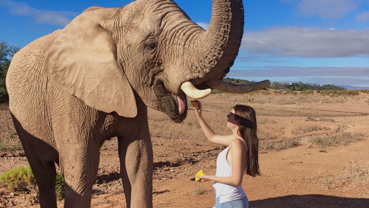 Rundreise durch Südafrika